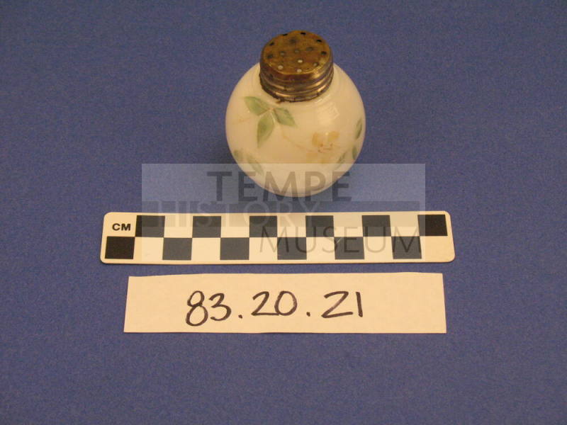 Salt Shaker