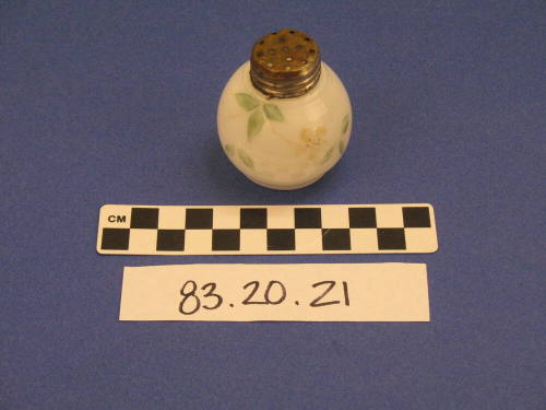 Salt Shaker