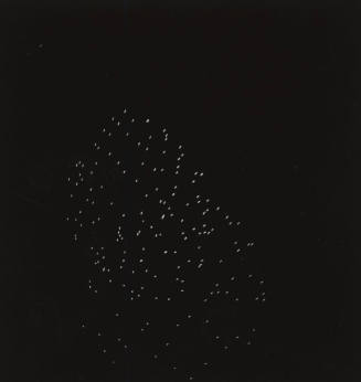 Centennial fireworks