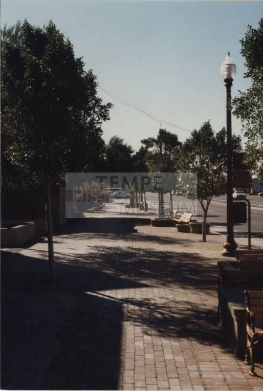 Brick Sidewalk on Mill Avenue in Downtown Tempe