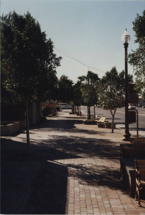 Brick Sidewalk on Mill Avenue in Downtown Tempe
