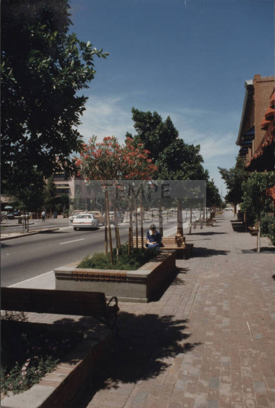 Mill Avenue in Downtown Tempe Looking North