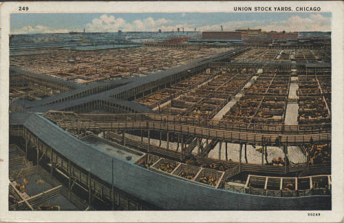 Postcard - Union Stock Yards, Chicago, Illinois
