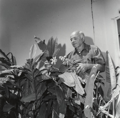 Bob Svob Sr. with Flowering Plants (1 of 2)