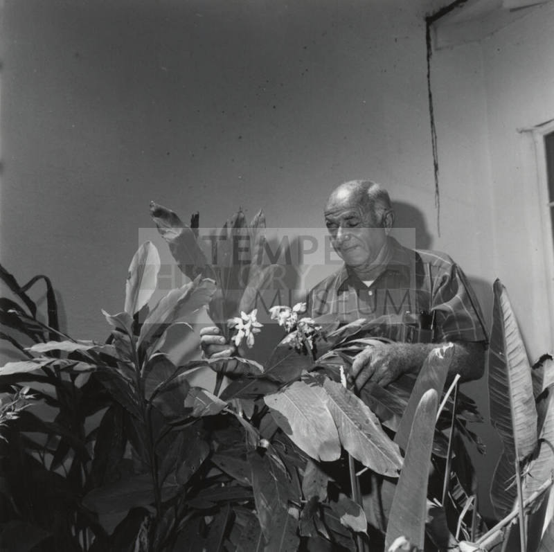 Bob Svob Sr. with Flowering Plants (2 of 2)