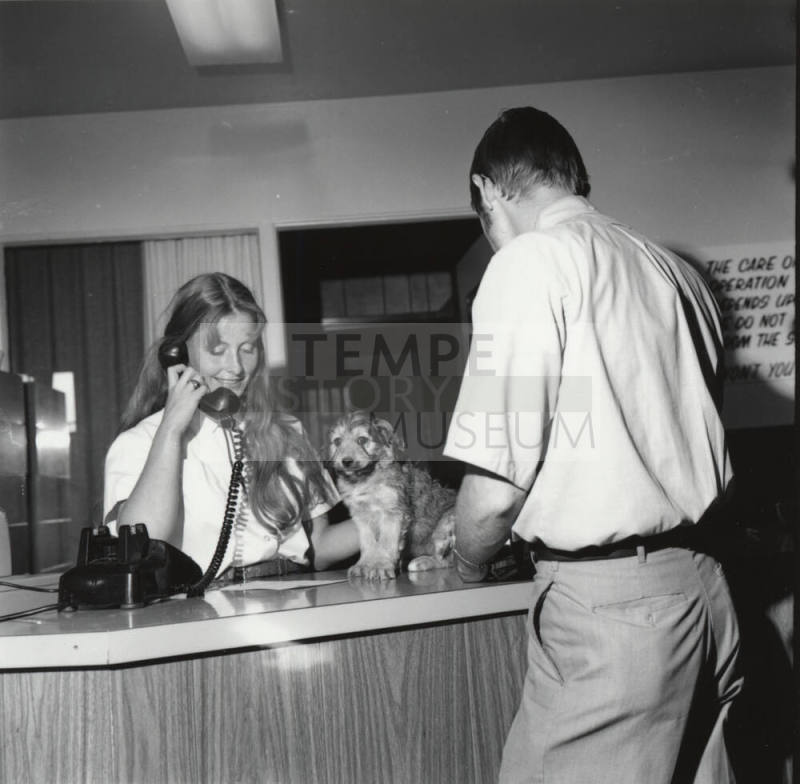Puppy on a Reception Desk