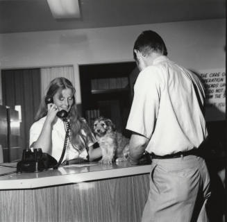 Puppy on a Reception Desk