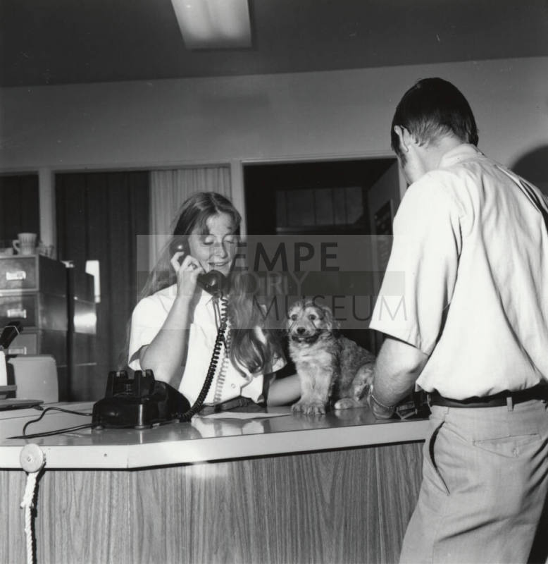 Puppy on a Reception Desk