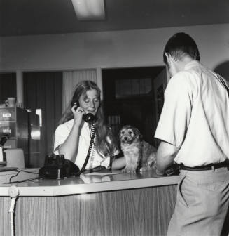 Puppy on a Reception Desk