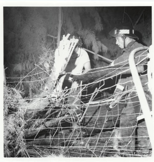Two Firefighters at a Fence Line
