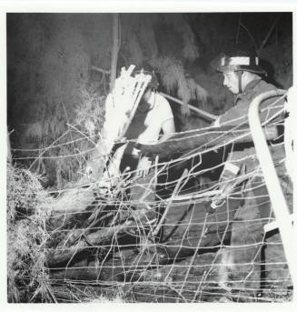 Two Firefighters at a Fence Line