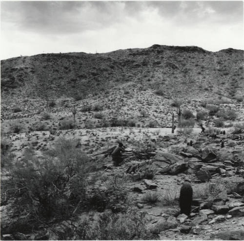 ASU ROTC Maneuvers - South Mountain Park