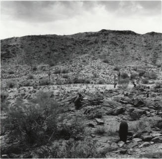 ASU ROTC Maneuvers - South Mountain Park