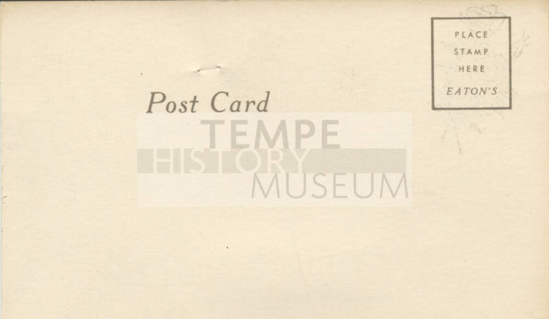 Postcard - Decorative Postcard with Rose
