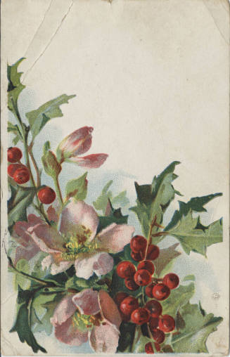 Postcard - Decorative Postcard of Flowers