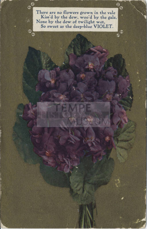Postcard - "There Are No Flowers Grown..."