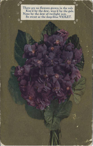 Postcard - "There Are No Flowers Grown..."