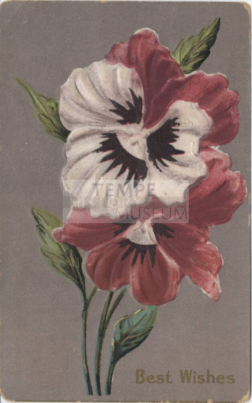 Postcard - "Best Wishes"