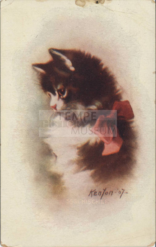 Postcard - Decorative Print of a Kitten