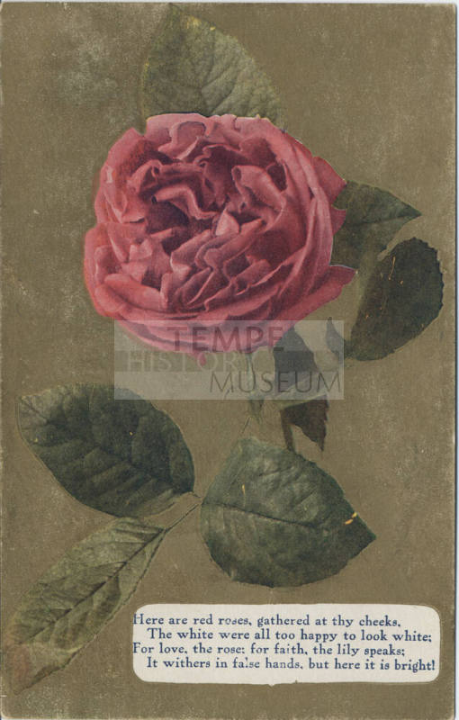 Postcard - "Here Are the Red Roses, ..."