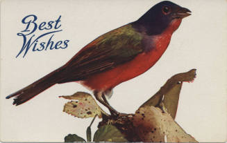 Postcard - Greeting Card - "Best Wishes"