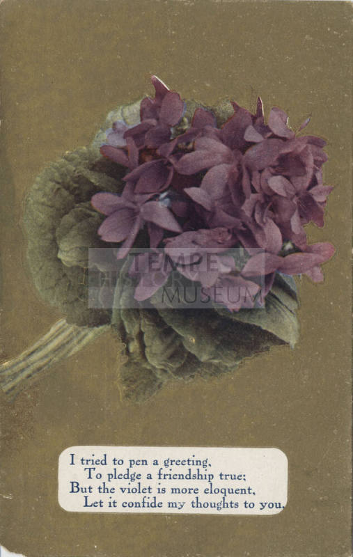Postcard - "I Tried to Pen a Greeting..."