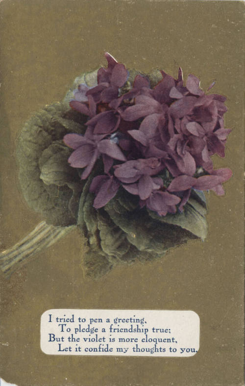 Postcard - "I Tried to Pen a Greeting..."