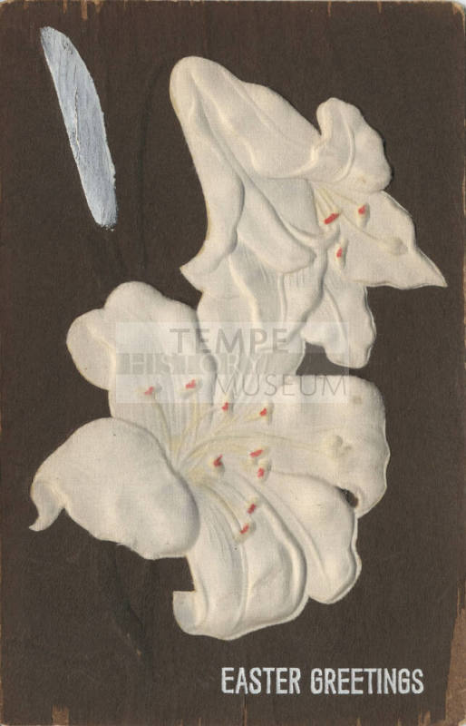 Postcard - Lily Easter Greetings