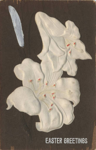 Postcard - Lily Easter Greetings