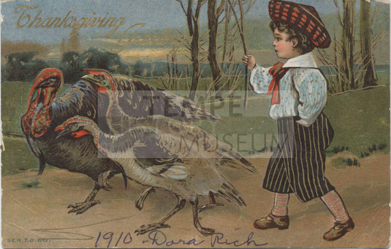 Postcard - "Thanksgiving Greetings"
