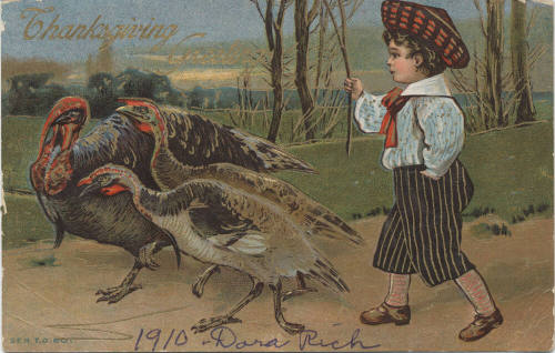 Postcard - "Thanksgiving Greetings"