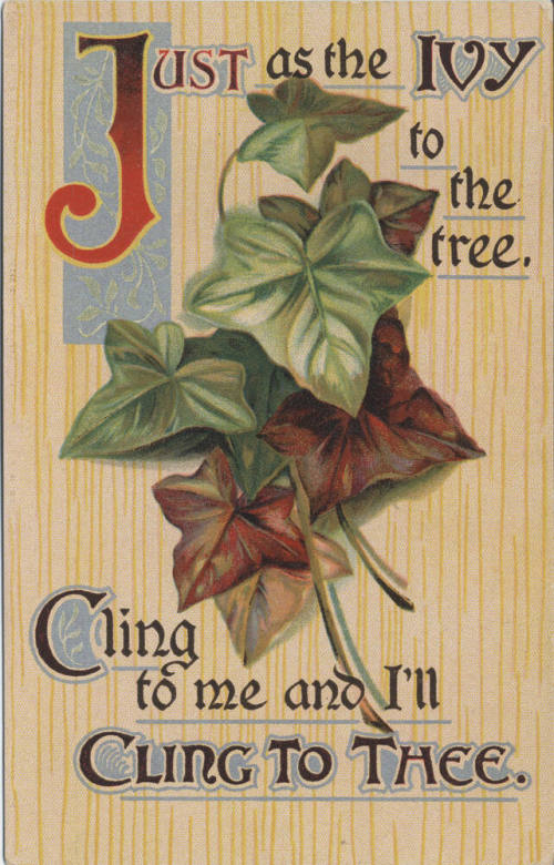 Postcard - "Just as the Ivy to the ..."