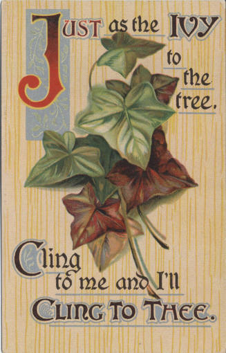 Postcard - "Just as the Ivy to the ..."