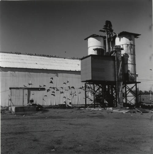 Hayden Flour Mill and Silos