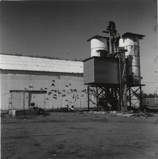 Hayden Flour Mill and Silos