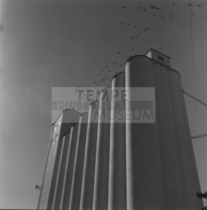 Hayden Flour Mill Silos