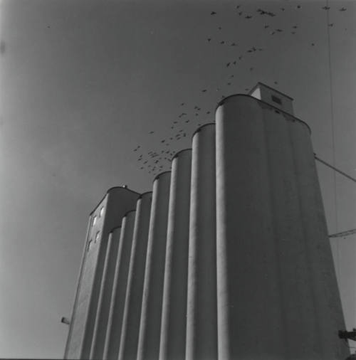 Hayden Flour Mill Silos