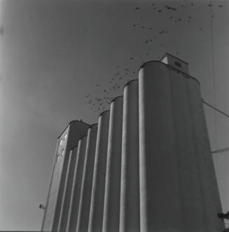 Hayden Flour Mill Silos