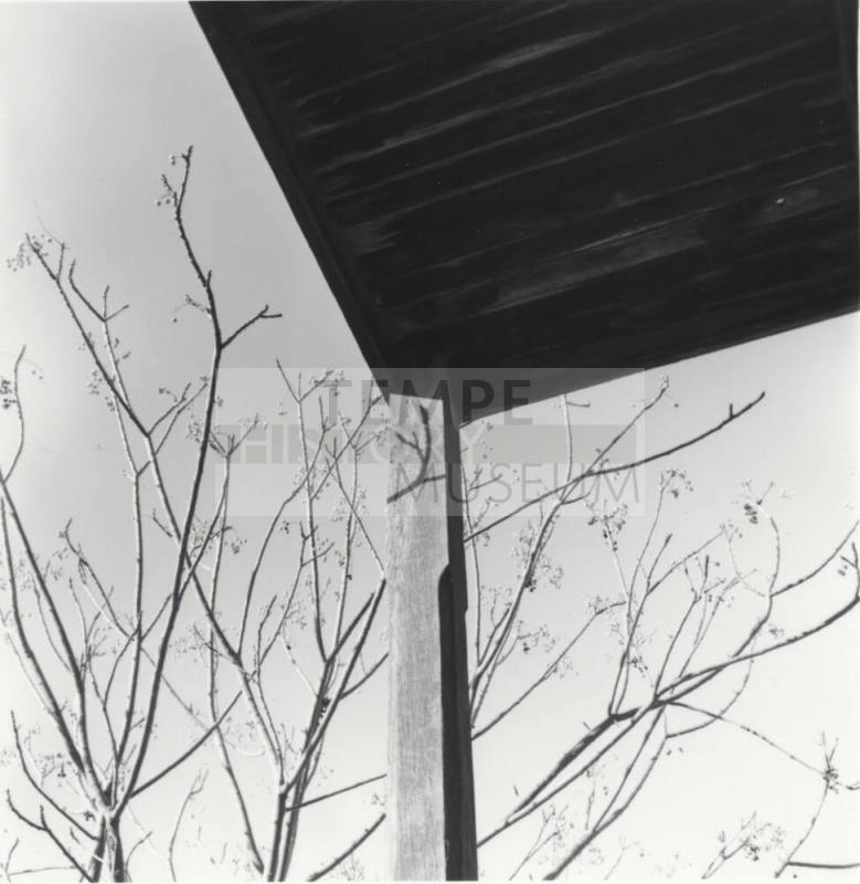 Hackett House- view of trees