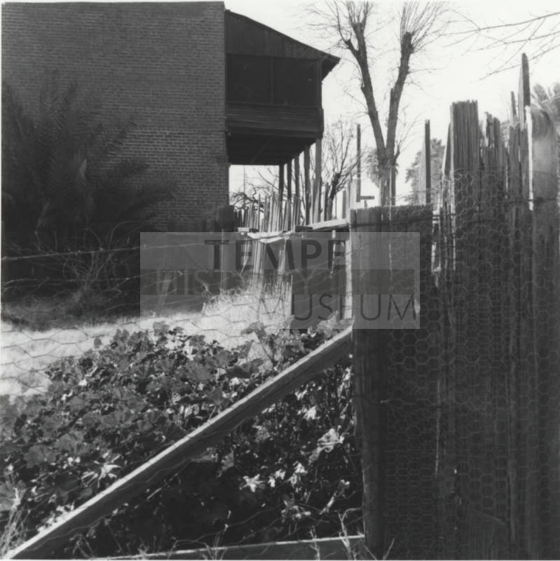 Hackett House- side yard