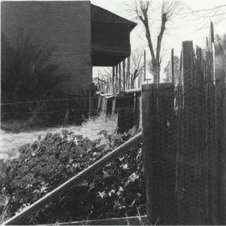 Hackett House- side yard