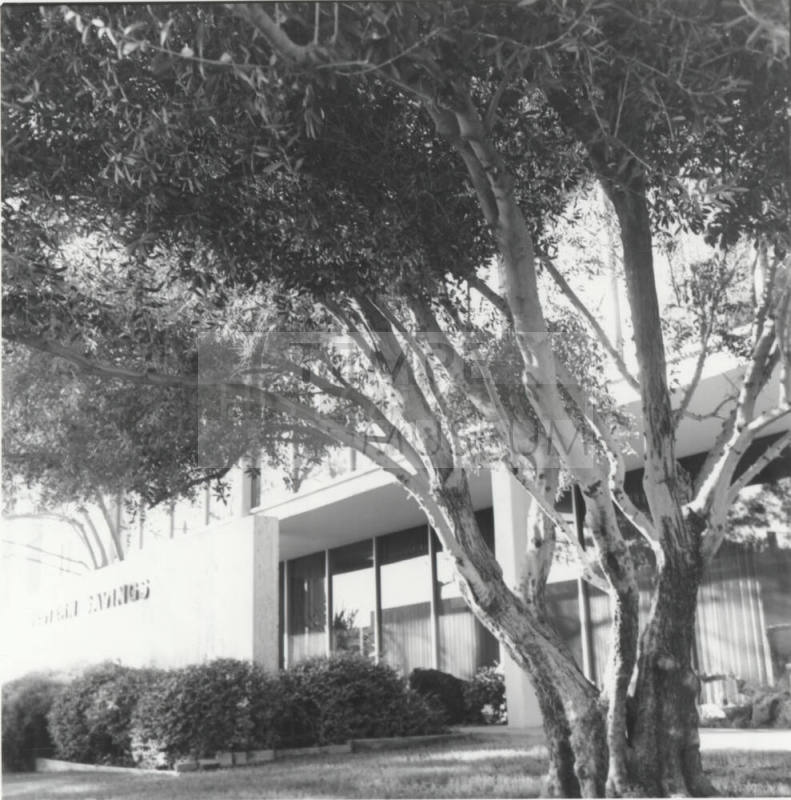 Western Savings and Loan