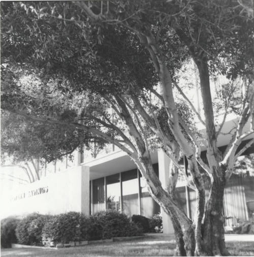 Western Savings and Loan