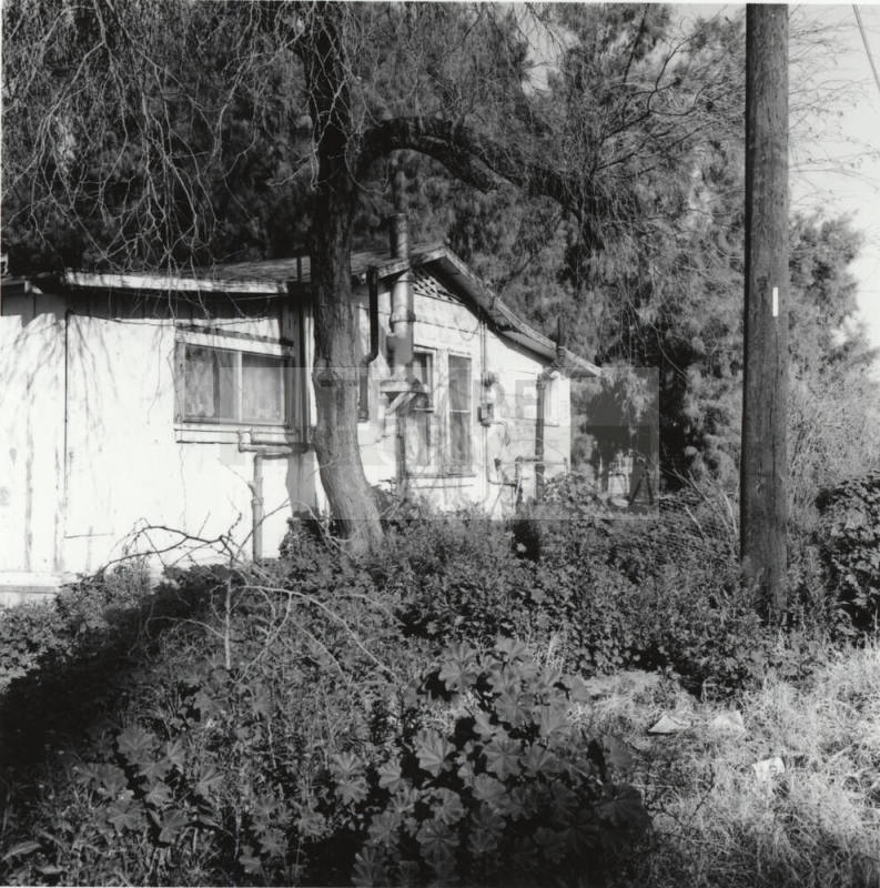 Unknown structure with tree