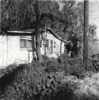 Unknown structure with tree