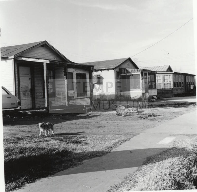 Unknown houses with dog
