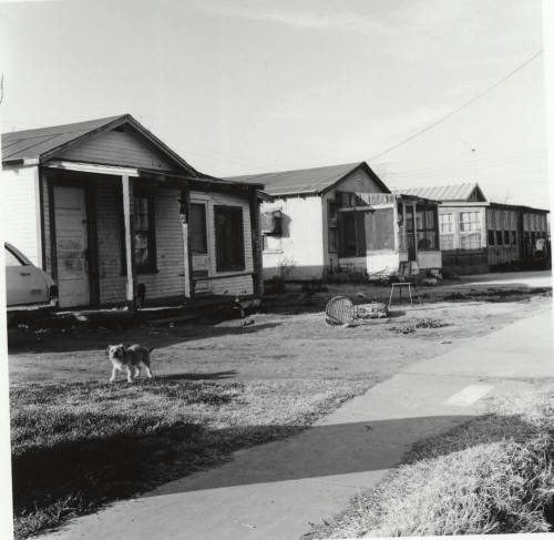Unknown houses with dog