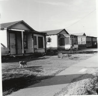 Unknown houses with dog