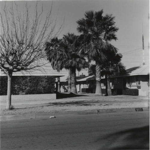 Unknown house with palm trees