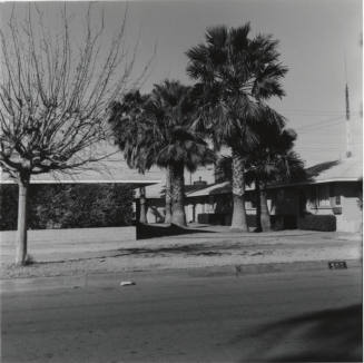 Unknown house with palm trees